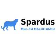 SEO консалтинг и Web-аналитика Spardus