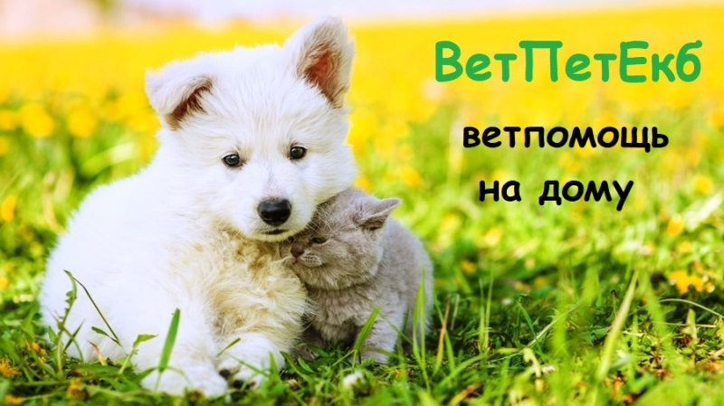 Ветклиника 24 часа. Выезд на дом во все районы