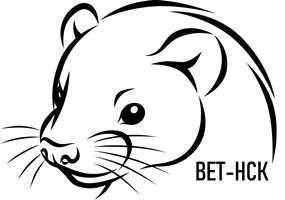 Ветклиника в Новосибирске ВетНск