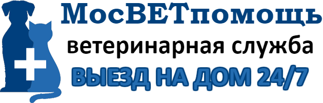 Ветпомощь на дому в Москве
