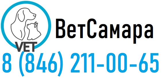 ВетСамара ветклиника на дом в Самару