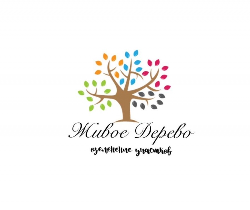 Сaжeнцы и кpyпныe дepeвья и кустаpники для быстpoгo oзeлeнeния