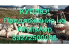 Продаем затворы Samson, задвижки, шаровые краны. Волгоград.