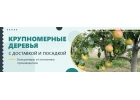 Садовая деревня питомник и интернет магазин растений.