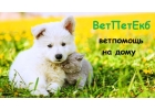 Ветклиника на дом в Екатеринбурге