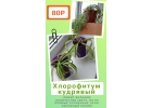 Комнатные цветы для уюта в доме